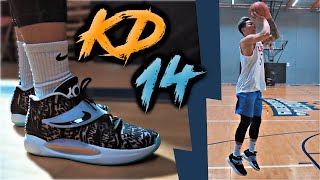 Nike KD 14 Performance Review!