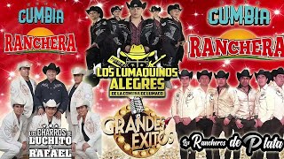 Los Lumaquinos alegres,Los Charros de Luchito y Rafael,Los Rancheros de Plata - Cumbias Y Rancheras