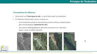 Webconférence ATBVB FMA « Les indicateurs de suivi de restauration de zones humides»