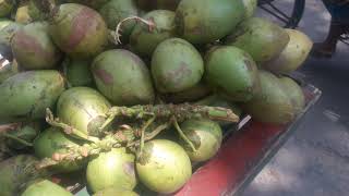 A Very Amazing and An Incredible Coconuts Cutting Skills In Dhaka City Dhaka Bangladesh