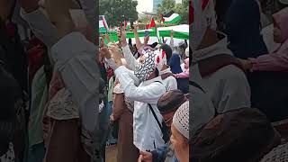 Bendera raksasa palestina.#shorts