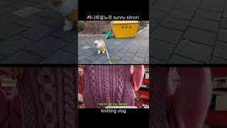 뜨개하며독서-38  #강아지뜨개옷 #vlog #1인가구 #shorts