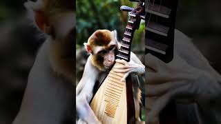 Funny Animal band | cat  #shorts #shortvideo @raghav_shorts