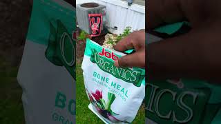 Bone Meal for Organic Gardens #gardening #louisiana #gardentips