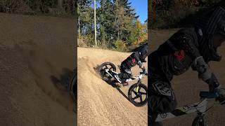 Stunt Riding Electric Mini Bike