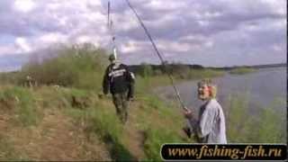 Видеотчет о небольшой поездке на рыбалку. Fishing.