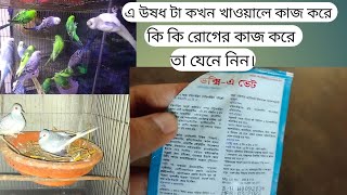 ডক্সি এ ভেট কোন কোন রোগের কাজ করে। কখন খাওয়ালে কাজ করে না তা যেনে নিন।পাখি পালন পদ্ধতি।