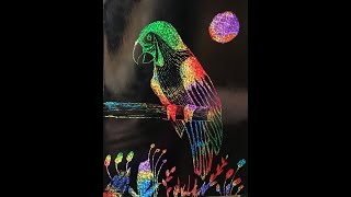 Parrot Drawing in  Scratch-board