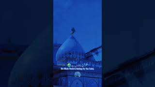 Imam Mahdi | New Manqabat | #islamicvideo #imammahdi #saviour #hope #world #manqabat #hdvideo #shia