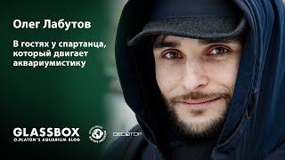 Олег Лабутов о Decotop, BADC, Биотопных аквариумах