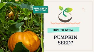 🍀🎃Gardening 101: How to Grow Pumpkin Seeds for the Best Yield