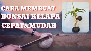 CARA MEMBUAT BONSAI KELAPA CEPAT DAN MUDAH!?