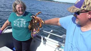 Puget Sound crabs August 2021