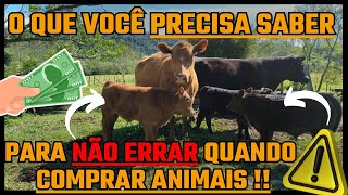 O QUE VOCÊ PRECISA SABER PARA NÃO ERRAR NA HORA DE COMPRAR ANIMAIS !!