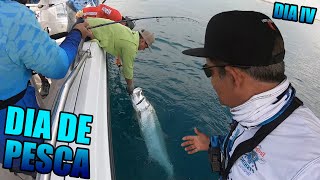 GRANDES SABALOS | MI DIA DE PESCA EN VERACRUZ | Lupe Lofish