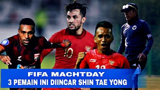 DEAR,3 Pemain Ini Kembali Dipanggil Shin Tae Yong Hadapi FIFA Machtday Dan Piala Asia 2023 ?