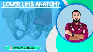 LOWER LIMB |PART-1