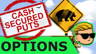 Cash Secured Put | Make Money Selling Cash Covered Put Options | Beginner Options | Wall Street Bets