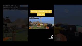 Placing 1 Block Everyday In Minecraft Day 123