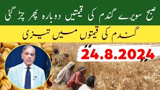 Wheat Price in Punjab Pakistan Today