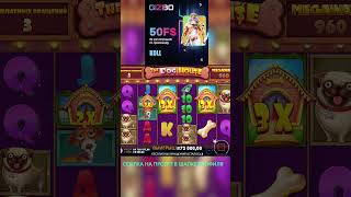 СЫГРАЛА ПОЛЯНА МОПСОВ В СОБАКАХ #slot #casinogames #casinoslots #casino #slotmachines #casinomachine