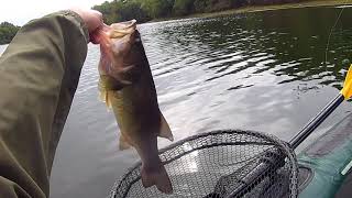 Fall Largemouth & Smallmouth 2022