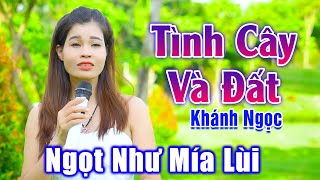 Tình Cây Và Đất - Khánh Ngọc Xinh Đẹp Hát Đường Phố Ngọt Như Mía Lùi - Khánh Ngọc