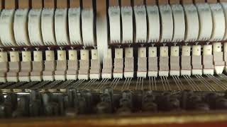 What goes inside a piano