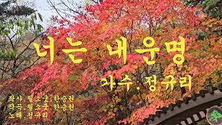 너는 내운명/가수.정규리/작사.작곡.필소굿.한승권/(영상.단풍)/2024.11.14.