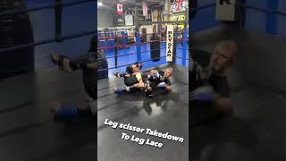 Scissor Leg Takedown