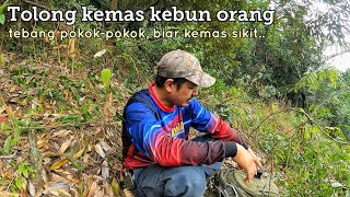 Tolong kemas kebun orang | Bukit Putus, N9.