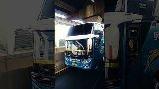 BASURI BUS DAMRI GARUDA MAS #basuri #shortviral #busmnaia #bismaniacommunity