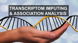 Imputing transcriptome for gene association analyses - Costin Leu