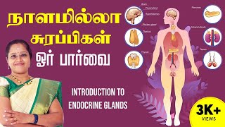 நாளமில்லா சுரப்பிகள் ஓரு  பார்வை | Introduction to Endocrine Glands |  Dr.A.VENI |  Trichy