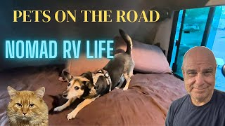 Pets 🐰🐕 on the Road 🛣️ #rvlife