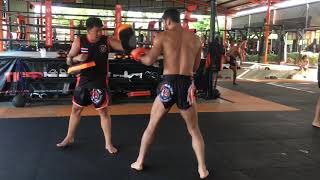 Tiger Muay Thai Training Thailand