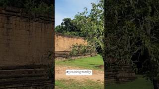 #angkorwat #cambodiatrip