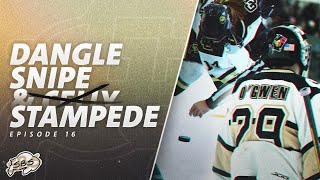 Dangle, Snipe, & Stampede: Episode 16 | Interviews Galore