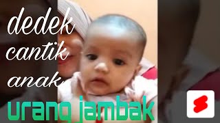 dedek cantik lucu.anak rang jambak