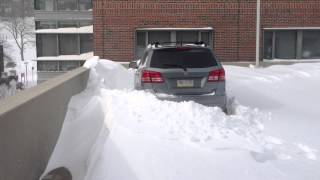 Roommate tries to escape the snow...