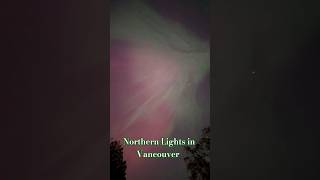 Northern lights (aurora) seen in Canada #vancouver #northernlights #trending #shortsfeed #shorts