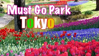 Must Visit - The Biggest Park in Tokyo Japan - Showa Memorial Garden 昭和記念公園