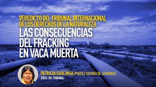 Tribunal Internacional de los Derechos de la Naturaleza, Caso Vaca Muerta | Patricia Gualinga