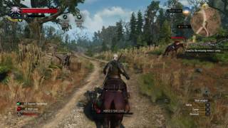 The Witcher 3: Wild Hunt_20150613150452