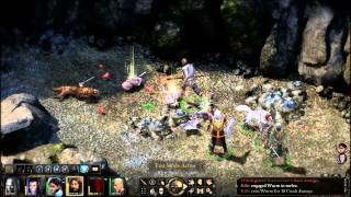 Pillars Of Eternity ep 33, The golden dragon egg