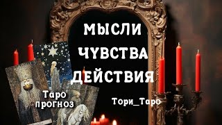 ✨❣️✨Мысли, чувства, действия Вашего Короля 👑!