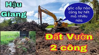 xe cuốc miền tây _máy đào kato nhổ góc dừa và góc cổ thụ ban 2 công đất vườn