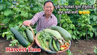 Allotment Diary: Our First Allotment Harvest | Grow your own vegetables | Nepali Gardening Vlog UK