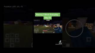 Placing 1 Block Everyday - Day 73