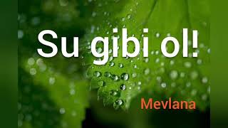 Su gibi ol! || Mevlana